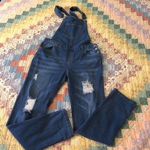 Girls Love Tree Denim Overalls